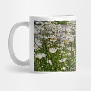 Roadside Daisies Mug